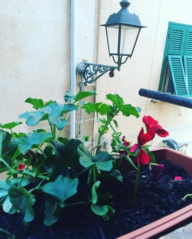 Il Vecchio Molo Apartment Alghero Italy